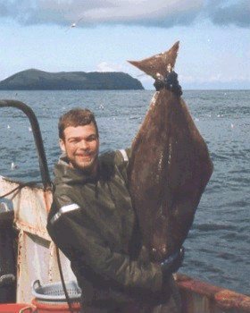 Feeding a halibut